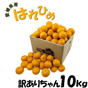 ���Q���Y �͂�Ђ� �󂠂肿��� 10kg �T�C�Y�E�ʐ��s���� �ʕ� �t���[�c ������ �Y�n����