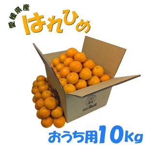 ���Q���Y �͂�Ђ� �������p 10kg 70�`76�� S/M�T�C�Y �ʕ� �t���[�c ������ �Y�n����