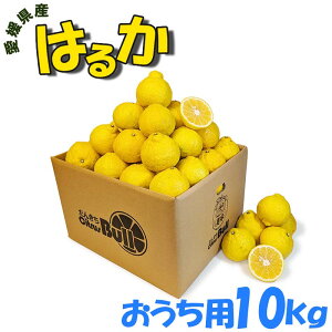 ���Q���Y �͂邩 10kg �������p �����p ��23�`28�� S/M/L�T�C�Y