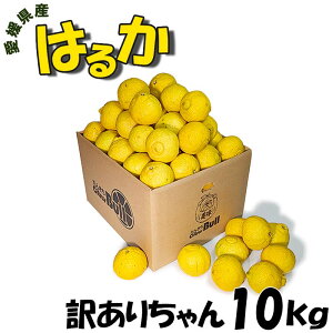 ���Q���Y �͂邩 10kg �󂠂肿���@�ʐ��E�T�C�Y�s����