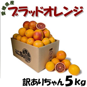 ���Q���Y�@�u���b�h�I�����W �󂠂肿���5kg �T�C�Y�E�ʐ��w��s�� �ʕ� �t���[�c ������ �Y�n���� �����p ���Ƒ��p