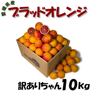 ���Q���Y�@�u���b�h�I�����W �󂠂肿���10kg �T�C�Y�E�ʐ��w��s�� �ʕ� �t���[�c ������ �Y�n���� �����p ���Ƒ��p