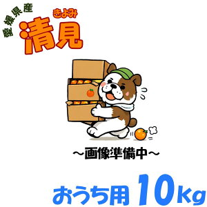 ���Q���Y �����i����݁j �������p 10kg 50�`60�� M/L�T�C�Y �ʕ� �t���[�c ������ �Y�n���� ���ƒ�p �����p