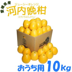 ���Q���Y �@�͓��ӊ��@�W���[�V�[�I�����W�@�������p �@�����@���ƒ�p �@10kg ��26�`30�ʁ@L/2L�T�C�Y�@ �ʕ� �t���[�c ������ �Y�n����