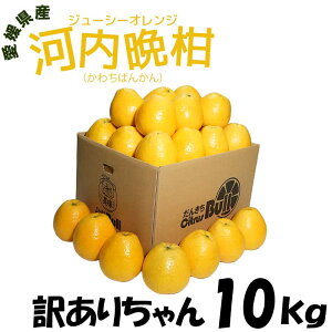 ���Q���Y �@�͓��ӊ��@�W���[�V�[�I�����W�@�󂠂肿��� �@10kg �ʐ��s�����@�T�C�Y�s�����@ �ʕ� �t���[�c ������ �Y�n����