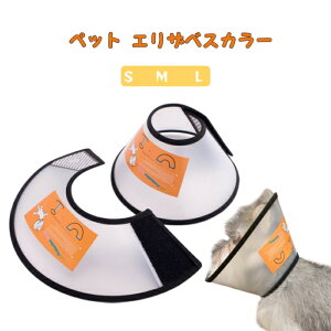  GUxXJ[ p J[\tg L GUxX  p rߖh~ ی GJ ݊ 傫 ɂȂ_炩  y R p 畆a  ΍