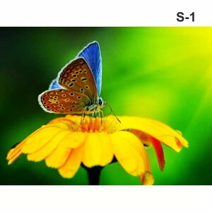 _ChA[g Lbg G   ԕ 5D_Ch 30x40cm Lbg  DIY H|i ǑpY_Ch pYNXXeb`A[g Sʓ\t ǖ  LL 