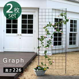 アイアンフェンス 高さ226 「グラフ」 2枚組【送料無料　フェンス　アイアン　ガーデンフェンス　ガーデニング 枠　柵　仕切り　目隠し　境目　クラシカル　アンティーク　格子　ベランダ つる　薔薇　バラ　朝顔　園芸　ラティス つるバラ 庭誘引 屋外 】