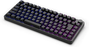 �\�j�[(SONY) �Q�[�~���O�L�[�{�[�h INZONE KBD-H75 : KBD-G900 Fnatic�����J��/�e���L�[���X/�p���z��/�A���~�j�E���g�b�v�P�[�X/�{�����[�������� / �|�[�����O���[�g8,000Hz / �K�X�P�b�g�}�E���g����