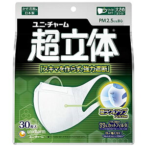 ̃}XN ׁEԕp sDz}XN { 傫߃TCY 30 m[YtBbg kPM2.5Ή {l (99% EBX