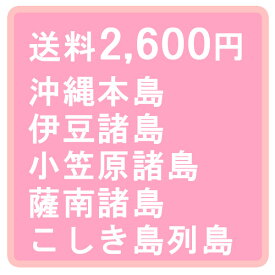 特別送料 2600円 （沖縄本島・伊豆諸島・小笠原諸島・薩南諸島・こしき島列島）＊直送・大型商品適用不可