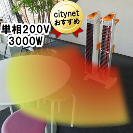 直送 法人様宛限定 スイデン ヒートスポット SEH-30A-2 単相200V 3000W スポット暖房 ツインタイプ 電気ストーブ 業務用 スポットヒーター 暖房器具 スポット 暖房 暖房機 ヒーター ストーブ 業務用ヒーター 業務用ストーブ 大型 広範囲 倉庫 大容量 暖かい 強力 ホワイト