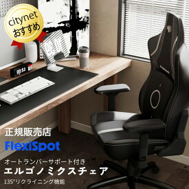 ゲーミングチェア FlexiSpot フレキシスポット GC04-BG-JA 正規販売店 ランバーサポート リクライニング アームレスト ヘッドレスト 静音キャスター ロッキング 昇降機能 耐荷重180kg オフィスチェア ゲーム テレワーク デスクチェア 在宅勤務 書斎 PCチェアー