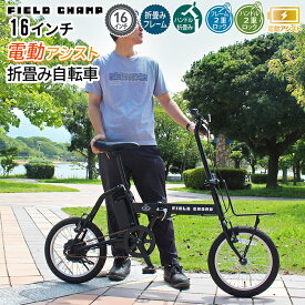 電動アシスト搭載 折り畳み自転車 電動アシスト自転車 16インチ FieldChamp 電動アシスト二輪車 フィールドチャンプ 折畳み 折りたたみ式 シティサイクル 電動 補助 アシスト機能 電動自転車 プレゼント フロントキャリア付き 折畳みコンパクト