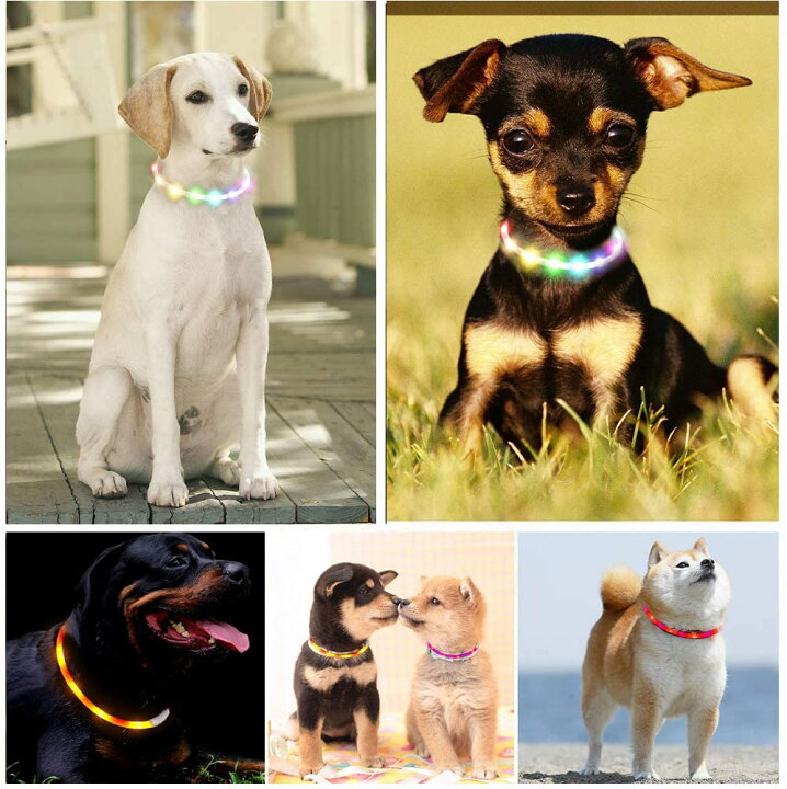 楽天市場 Civil Life 首輪 光る 犬 光る首輪 ７色 レインボー 長さ71cm カット自由 Led 首輪 光る 光る 首輪 Led Usb充電式 Led光る首輪 Ledライト首輪 散歩 防水 猫 ワンちゃんの安全対策 サイズ調整可 発光首輪 事故防止 福袋 22 初売り Civil Life ペット用品