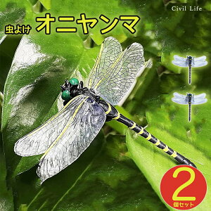 [Civil Life]Ij}  12cm y2Zbgz ɂ tBMA St A g{ 悯 ΍ Sst Xgbvt ނ Ro Lbv O 悯͌^  X