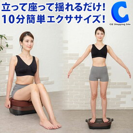 ライフフィットトレーナー 2Way SP LIFEFIT FIT016 振動マシン プルプルマシーン 筋トレ 筋肉トレーニング プルプル運動 有酸素運動 バランス運動 パワーベルト 円座クッション 付属 立って乗る 座って使用 腰回り トレーニング 体幹 鍛える コンパクト 1年保証 【お取寄せ】