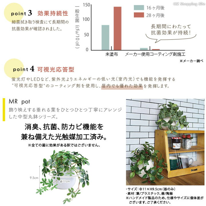 楽天市場】フェイクグリーン 光触媒 観葉植物 インテリアグリーン ラウンドポット 全4種 カメリアリーフ フィットニア モンステラ シュガーバイン 造花 おしゃれ かわいい 飾り 国内加工 卓上 中型丸鉢 リアル 装飾品 店舗 ギフト プレゼント : シズショッピングサイト ... 楽天市場】フェイクグリーン 光触媒 観葉植物 インテリアグリーン ラウンドポット 全4種 カメリアリーフ フィットニア モンステラ シュガーバイン 造花 おしゃれ かわいい 飾り 国内加工 卓上 中型丸鉢 リアル 装飾品 店舗 ギフト プレゼント : シズショッピングサイト ...