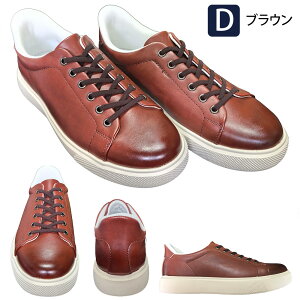 [ŒZ͂] ܂ܗ C Y Xj[J[ ܂ܗC XpbƗ JWAV[Y Xpb nYt[ R[gXj[J[ Xb| rWlXXj[J