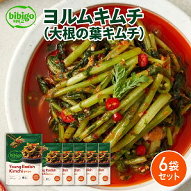 【賞味期限2025年12月24日】 数量限定アウトレット bibigo ビビゴ ヨルムキムチ450g×6袋セット 大容量 クール便 キムチ 韓国 韓国食品 韓国料理 韓国キムチ アウトレット キムチ6袋セット パウチ