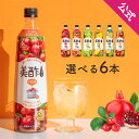 エントリーでポイント10倍！ 美酢 選べる6本セット 7フレーバー 900ml×6本 VPC 公式 ミチョ みちょ メーカー直送 酢 ドリンク 果実酢 飲み比べ 飲みやすい 飲む酢 飲むお酢 常温 飲む お酢 果実酢 常温 お歳暮