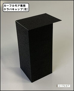 yށE𕨁z[tAp PoLbv[] (ݕ) ՔM J[KoE|