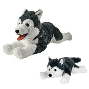 yZbgizIKEA CPA \tggC ʂ Ck VxAnXL[ 召2_Zbg cs025 LIVLIG [O  ʂ l` ʂ  Vv k 킢