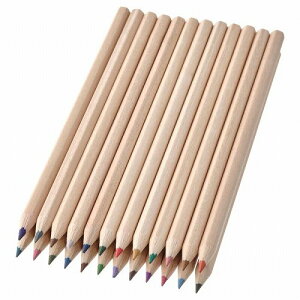 IKEA CPA FM ~bNXJ[ m00544233 New SOLFAGEL \tH[Q piG [ pi ML ʂ肦  Vv k 킢