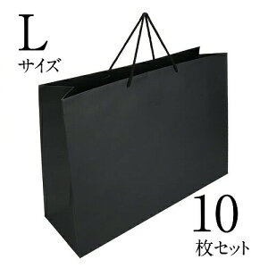 Star Clair MtgobO 񂰑 y[p[obO ̖n 10_Zbg  ubN Mtg 43×32×14cm ch00001