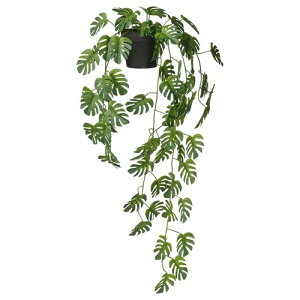 IKEA CPA lHϗtA /Op 艺^/Xe 9 cm m00608404 FEJKA tFCJ