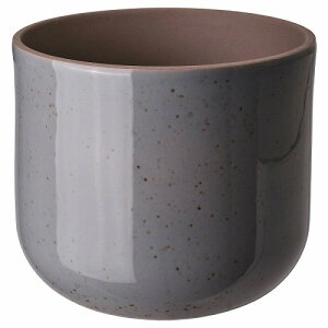 IKEA CPA Jo[  Op O[u[ 15cm m20595896 BUSKKAPRIFOL uXNJvtH[  K[f DIY K[fjO _ Aؔ v^[Jo[  Vv k 킢