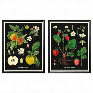 IKEA CPA t[ |X^[t re[Wʕ} 40x50cm 2s[X m30578896 KNOPPANG NmbyO CeA Q [ CeA u tHgt[  Vv k 킢