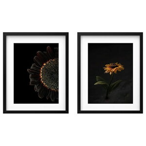 IKEA CPA t[ |X^[t q} 40x50cm 2s[X m30583548 RODALM [_ CeA Q [ CeA u tHgt[  Vv k 킢