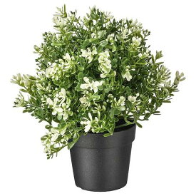 【あす楽】IKEA イケア 人工観葉植物 タイム 9cm z40375167 FEJKA フェイカ 花 ガーデン 観葉植物 造花 フェイクグリーン おしゃれ シンプル 北欧 かわいい 雑貨 アウトドア