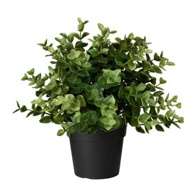 【あす楽】IKEA イケア 人工観葉植物 オレガノ 9cm z60375166 FEJKA フェイカ 花 ガーデン 観葉植物 造花 フェイクグリーン おしゃれ シンプル 北欧 かわいい 雑貨 アウトドア