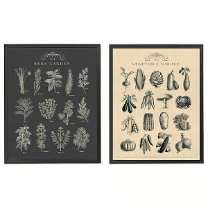 IKEA CPA t[ |X^[t K[f 40x50cm 2s[X n20465772 KNOPPANG NmbyO CeAG CeA u tHgt[ ʐ^  Vv k 킢
