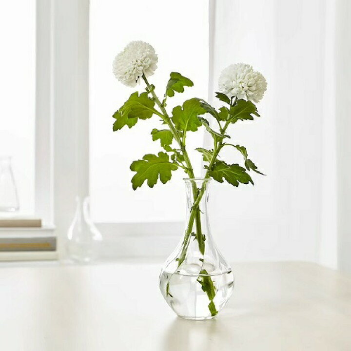 楽天市場 Ikea イケア 花瓶 クリアガラス 高さ17cm E Viljestark ヴィリエスタルク インテリア雑貨 インテリア小物 置物 フラワーベース おしゃれ シンプル 北欧 かわいい 株式会社クレール