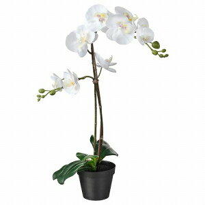 IKEA イケア 人工観葉植物 4号 Orchid ホワイト 12x58cm m20294940 FEJKA フェイカ 花 ガーデン 観葉植物 造花 フェイクグリーン おしゃれ シンプル 北欧 かわいい 雑貨