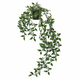 【あす楽】IKEA イケア 人工観葉植物 室内 屋外用 つり下げ型 9x70cm m40349545 FEJKA フェイカ 花 ガーデン 観葉植物 造花 フェイクグリーン おしゃれ シンプル 北欧 かわいい