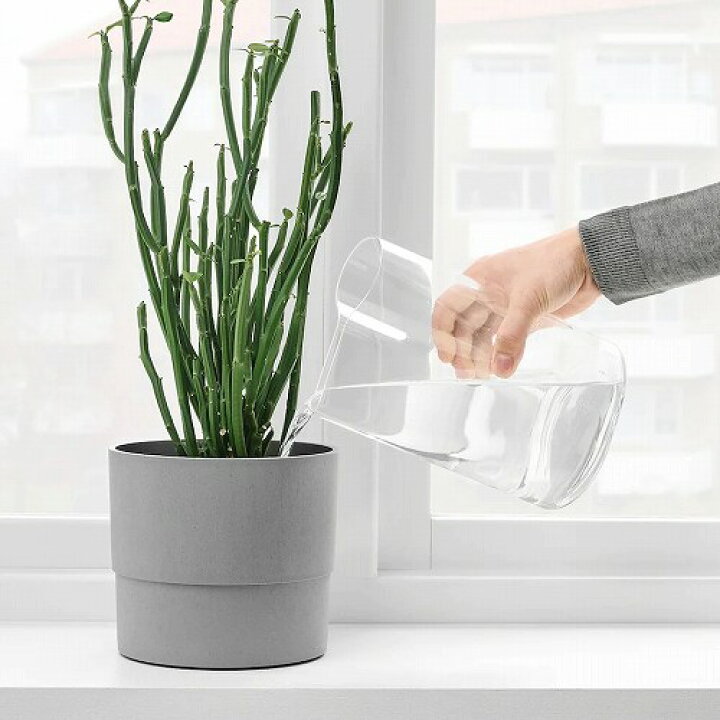 楽天市場 Ikea イケア 花瓶 じょうろ クリアガラス 高さ21cm M Chilifrukt チリフルクト インテリア雑貨 インテリア小物 置物 フラワーベース おしゃれ シンプル 北欧 かわいい 株式会社クレール