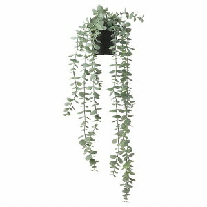 IKEA CPA lHϗtA  Op 艺^ [J 9x58cm m90466810 FEJKA tFCJ  K[f ϗtA  tFCNO[  Vv k 킢 G