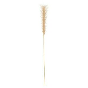 IKEA CPA  Pampas grass 86cm m40530677 SMYCKA X~bJ CeAG  K[f ϗtA tFCNO[  Vv k 킢