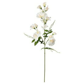 【あす楽】IKEA イケア 造花 スイートピー ホワイト 60cm m50409770 SMYCKA スミッカ インテリア雑貨 花 ガーデン 観葉植物 フェイクグリーン おしゃれ シンプル 北欧 かわいい
