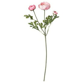 【あす楽】IKEA イケア 造花 ラナンキュラス ピンク 52cm m60335712 SMYCKA スミッカ インテリア雑貨 花 ガーデン 観葉植物 フェイクグリーン おしゃれ シンプル 北欧 かわいい