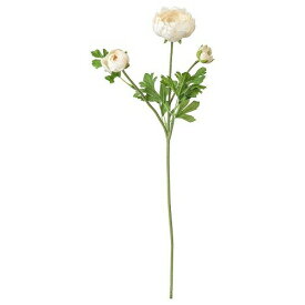 【あす楽】IKEA イケア 造花 ラナンキュラス ホワイト 52cm m80335711 SMYCKA スミッカ インテリア雑貨 花 ガーデン 観葉植物 フェイクグリーン おしゃれ シンプル 北欧 かわいい