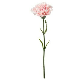 【あす楽】IKEA イケア 造花 カーネーション ピンク 30cm m80409740 SMYCKA スミッカ インテリア雑貨 花 ガーデン 人工観葉植物 フェイクグリーン おしゃれ シンプル 北欧 かわいい