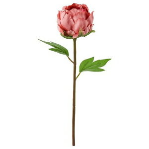 IKEA CPA  {^ _[NsN 30cm m90409754 SMYCKA X~bJ CeAG  K[f lHϗtA tFCNO[  Vv k 킢