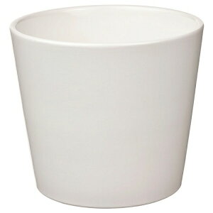 IKEA CPA Jo[ 3 zCg  9cm m00533593 SOJABONA \C{i v^[ AؔJo[  K[f K[fjO Aؔ v^[Jo[  Vv k