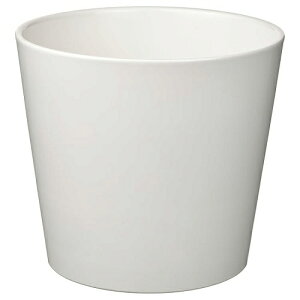 IKEA CPA Jo[ 8 zCg  24cm m30533577 SOJABONA \C{i v^[ AؔJo[  K[f K[fjO Aؔ v^[Jo[  Vv k
