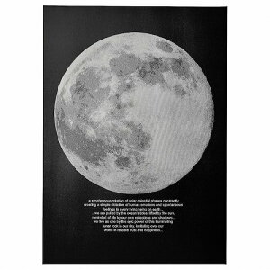 IKEA �C�P�A �A�[�g ���[�����C�g 50x70cm m30554503 PJATTERYD �v�B�G�b�e���[�h �C���e���A�G�� �ǎ� �����t�B���� �A�[�g�p�l�� �A�[�g�{�[�h ������� �V���v�� �k�� ���킢��